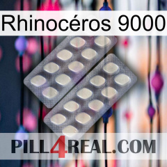 Rhinocéros 9000 07